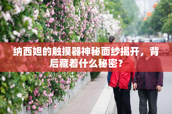 纳西妲的触摸器神秘面纱揭开，背后藏着什么秘密？