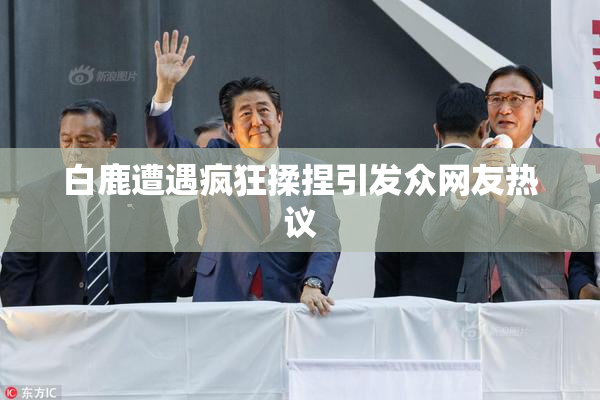 白鹿遭遇疯狂揉捏引发众网友热议
