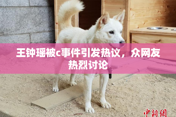 王钟瑶被c事件引发热议，众网友热烈讨论