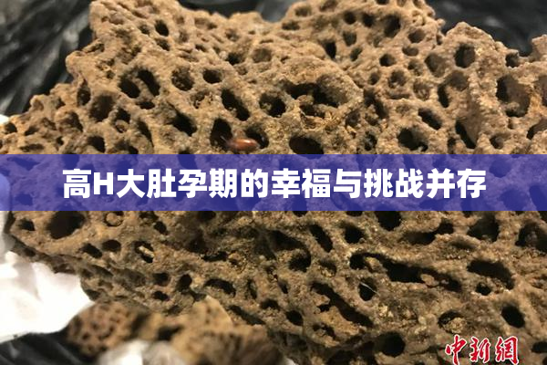 高H大肚孕期的幸福与挑战并存