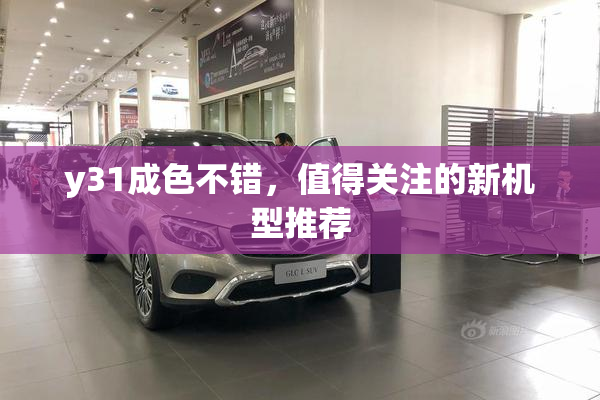 y31成色不错，值得关注的新机型推荐