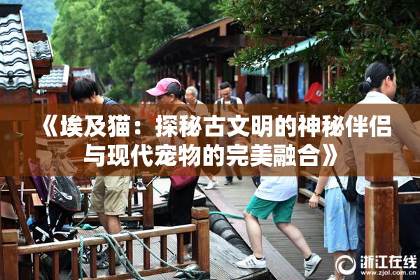 《埃及猫：探秘古文明的神秘伴侣与现代宠物的完美融合》