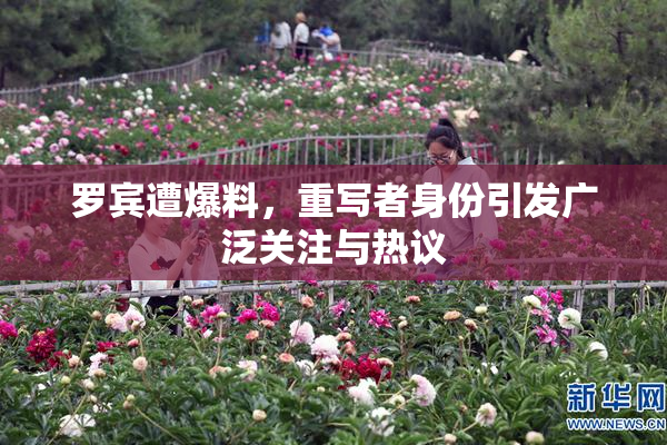 罗宾遭爆料，重写者身份引发广泛关注与热议