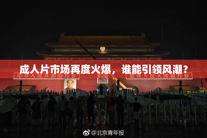 成人片市场再度火爆，谁能引领风潮？