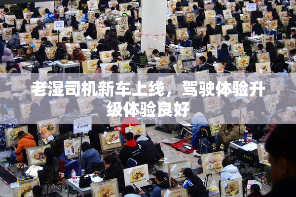 老湿司机新车上线，驾驶体验升级体验良好