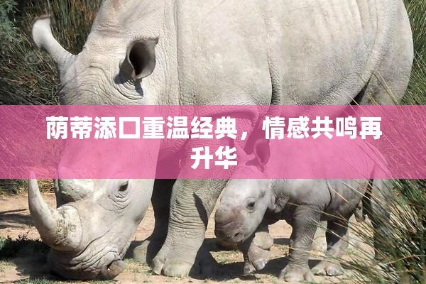 荫蒂添囗重温经典，情感共鸣再升华