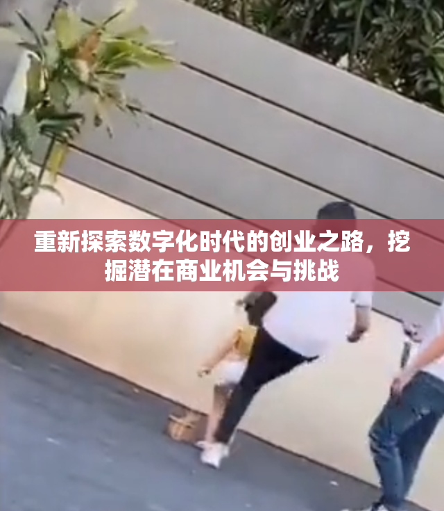 重新探索数字化时代的创业之路，挖掘潜在商业机会与挑战