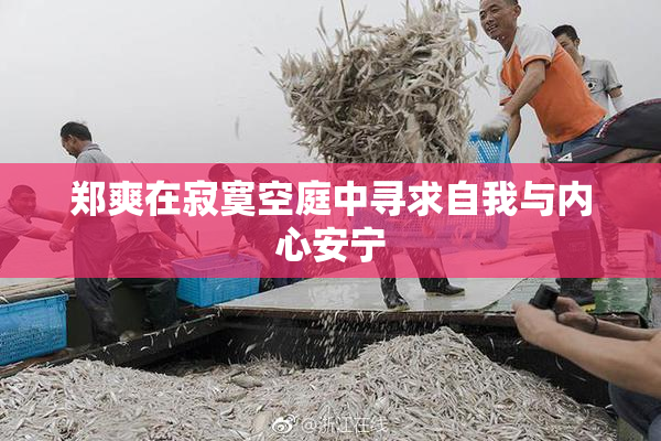 郑爽在寂寞空庭中寻求自我与内心安宁