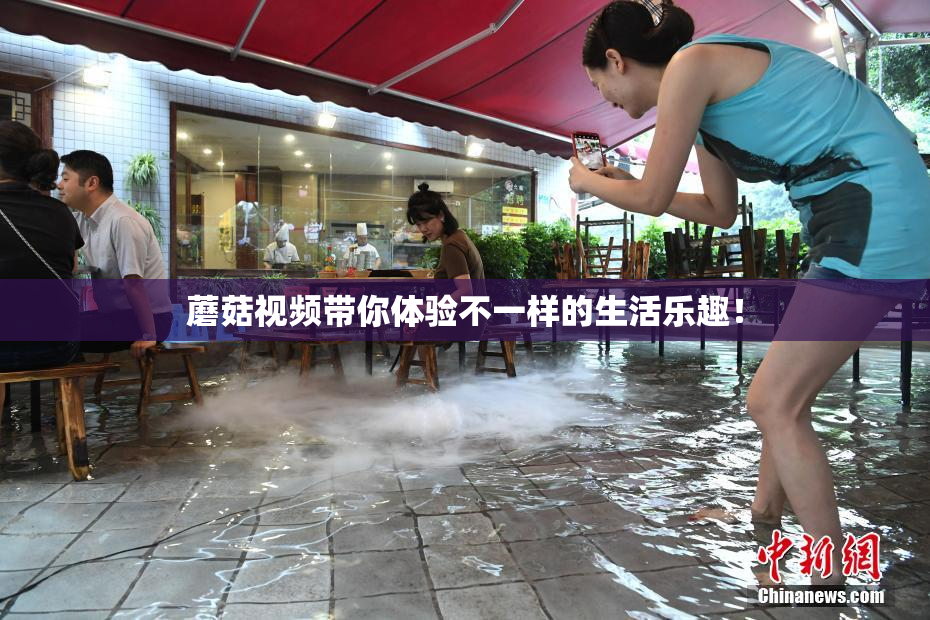 蘑菇视频带你体验不一样的生活乐趣！
