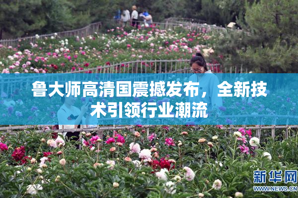鲁大师高清国震撼发布，全新技术引领行业潮流