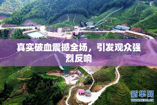 真实破血震撼全场，引发观众强烈反响