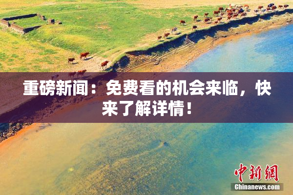 重磅新闻：免费看的机会来临，快来了解详情！