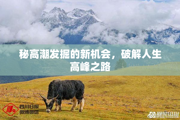 秘高潮发掘的新机会，破解人生高峰之路