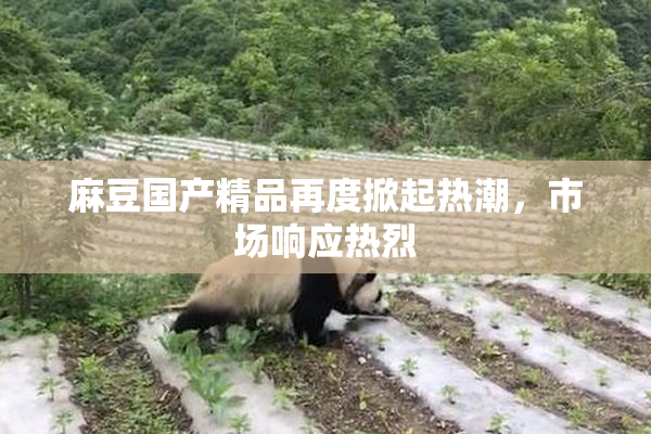 麻豆国产精品再度掀起热潮，市场响应热烈