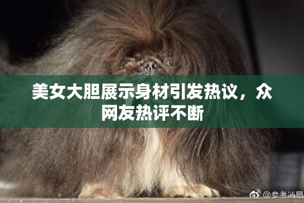 美女大胆展示身材引发热议，众网友热评不断