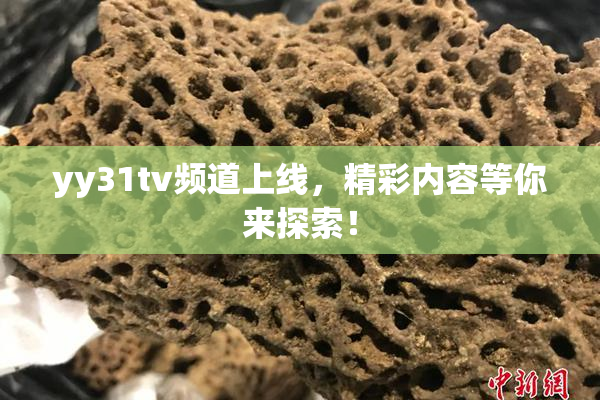 yy31tv频道上线，精彩内容等你来探索！