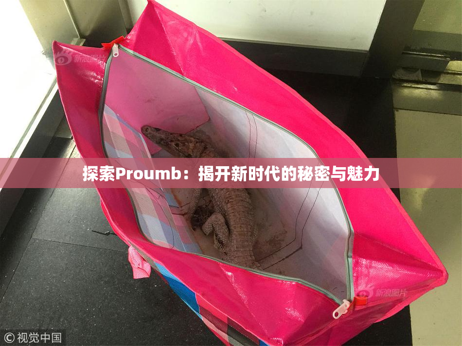 探索Proumb：揭开新时代的秘密与魅力