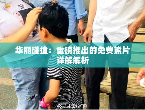 华丽碰撞：重磅推出的免费熊片详解解析