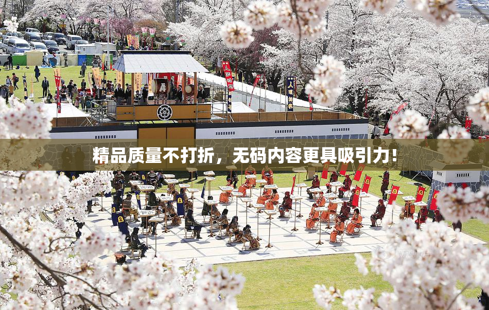 精品质量不打折，无码内容更具吸引力！