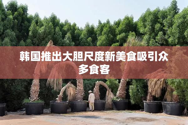 韩国推出大胆尺度新美食吸引众多食客