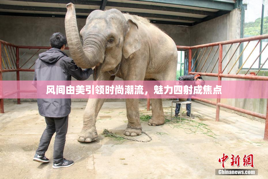 风间由美引领时尚潮流，魅力四射成焦点
