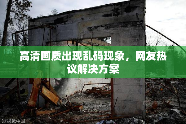 高清画质出现乱码现象，网友热议解决方案