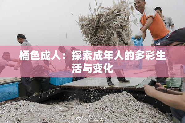 橘色成人：探索成年人的多彩生活与变化