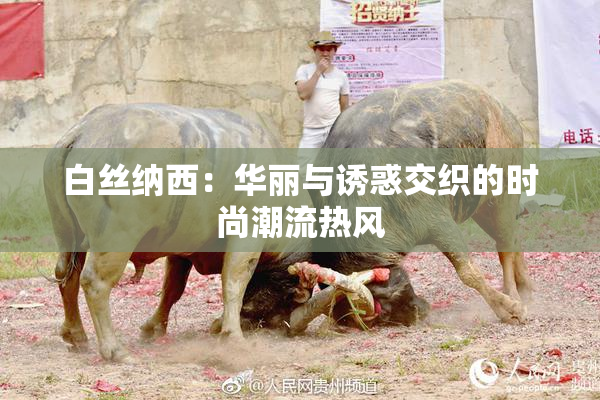 白丝纳西：华丽与诱惑交织的时尚潮流热风