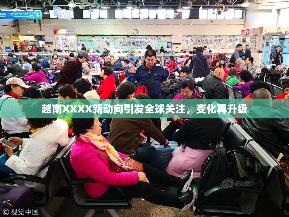 越南XXXX新动向引发全球关注，变化再升级