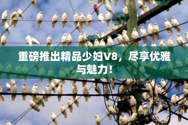 重磅推出精品少妇V8，尽享优雅与魅力！
