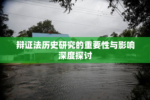 辩证法历史研究的重要性与影响深度探讨