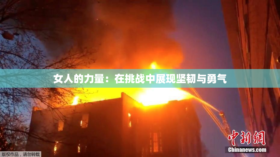 女人的力量：在挑战中展现坚韧与勇气
