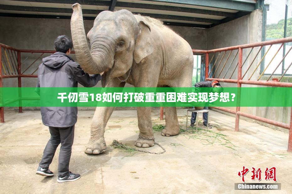 千仞雪18如何打破重重困难实现梦想？