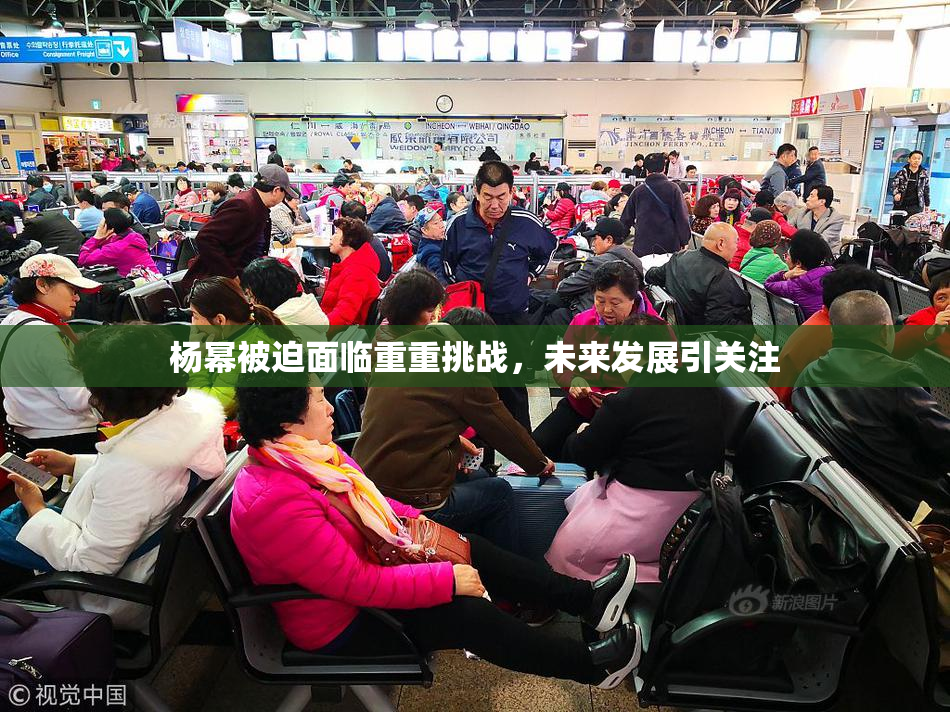 杨幂被迫面临重重挑战，未来发展引关注