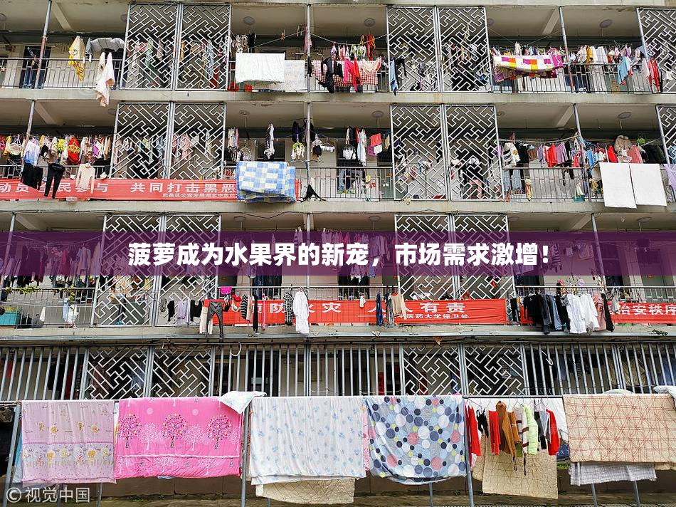 菠萝成为水果界的新宠，市场需求激增！