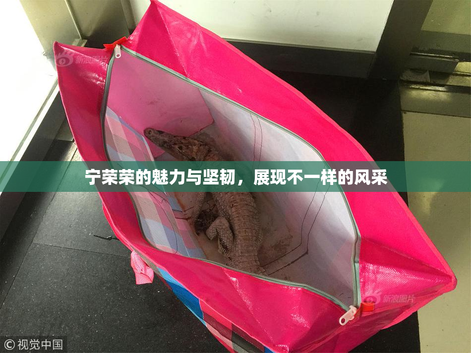 宁荣荣的魅力与坚韧，展现不一样的风采