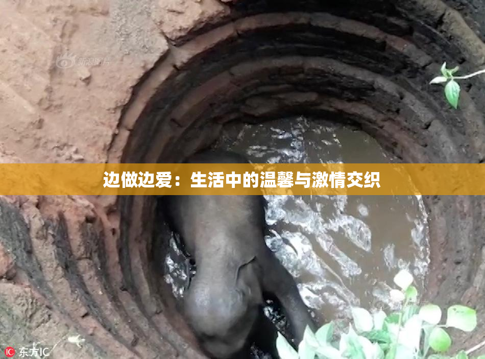 边做边爱：生活中的温馨与激情交织
