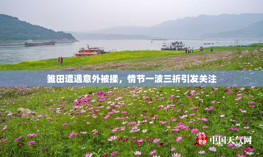 雏田遭遇意外被揉，情节一波三折引发关注
