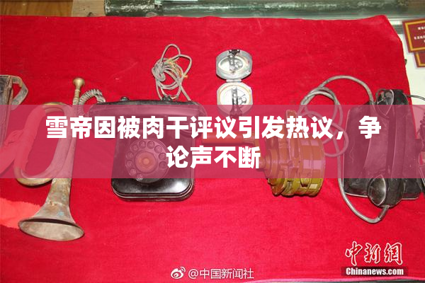 雪帝因被肉干评议引发热议，争论声不断