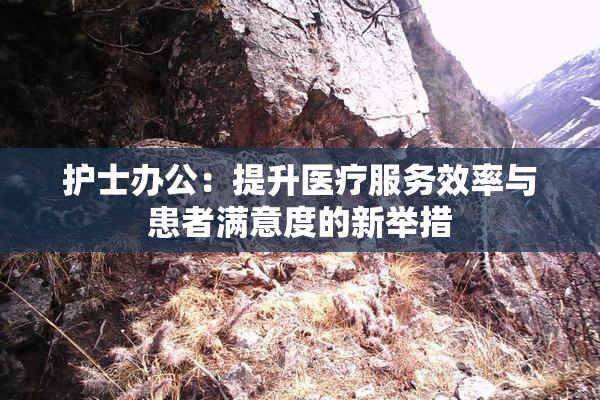 护士办公：提升医疗服务效率与患者满意度的新举措
