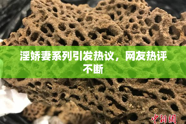 淫娇妻系列引发热议，网友热评不断
