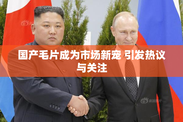 国产毛片成为市场新宠 引发热议与关注