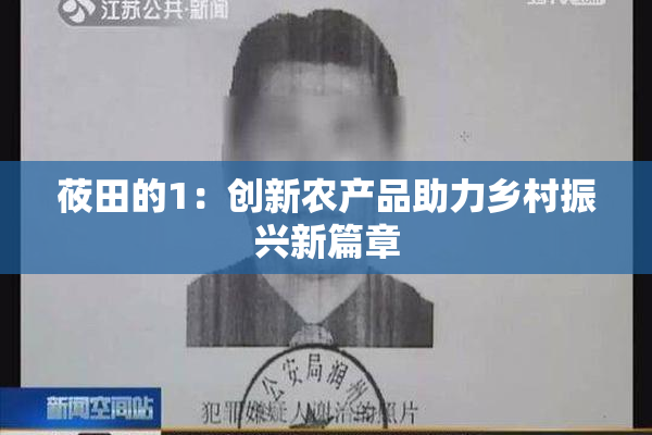 莜田的1：创新农产品助力乡村振兴新篇章