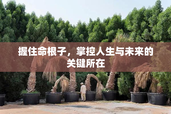 握住命根子，掌控人生与未来的关键所在