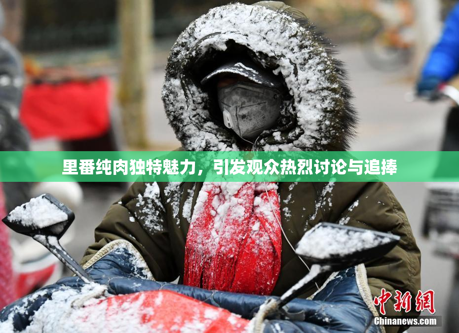 里番纯肉独特魅力，引发观众热烈讨论与追捧