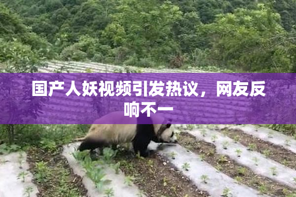 国产人妖视频引发热议，网友反响不一