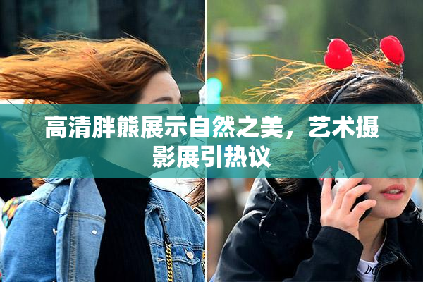 高清胖熊展示自然之美，艺术摄影展引热议