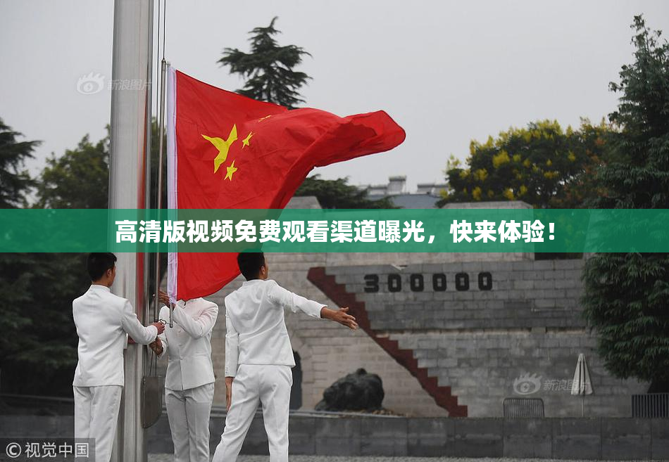 高清版视频免费观看渠道曝光，快来体验！