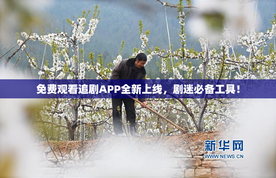 免费观看追剧APP全新上线，剧迷必备工具！