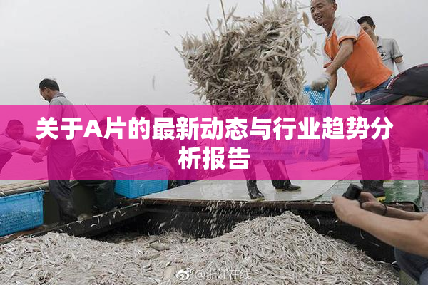 关于A片的最新动态与行业趋势分析报告